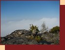 Posezen na vrcholu 539 m